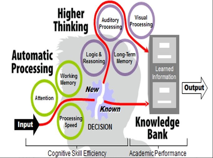 cognitive-skills